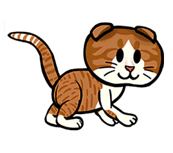 Datei:Scottish Fold.png