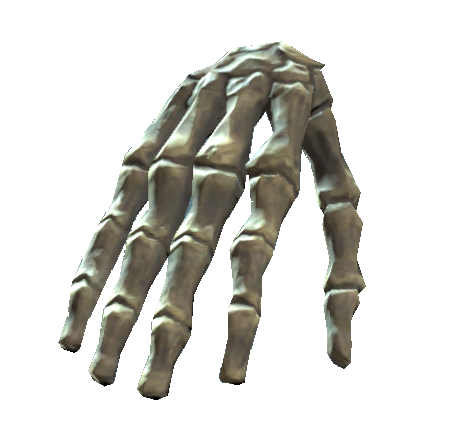 Datei:Right hand bones.png