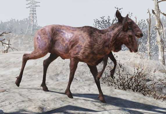 Datei:FO76 Radstag doe.png