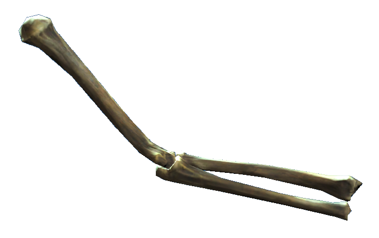 Datei:Left arm bones.png