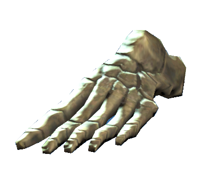 Datei:Left foot bones.png