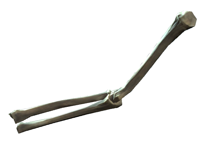 Datei:Right arm bones.png