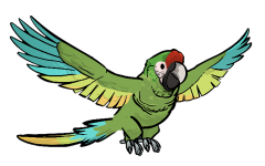 Datei:FoS trained parrot.png