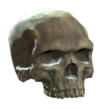 Datei:Upper skull.png