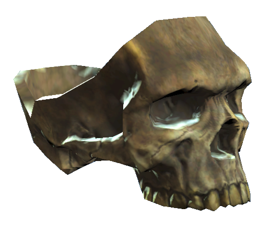 Datei:Capless skull.png