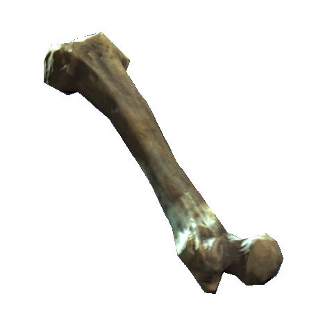 Datei:Femur.png