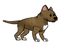 Pit Bull Terrier