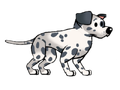 Dalmatian