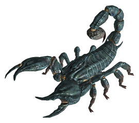 Radscorpion.png