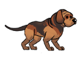 Bloodhound