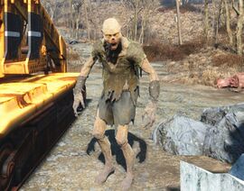 FO4-Feral Ghoul.jpeg