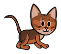 Abyssinian
