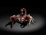 Radscorpion in  Fallout: Brotherhood of Steel