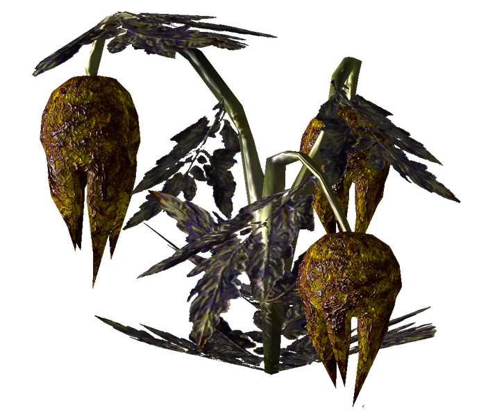 Datei:Wild Punga 2.png